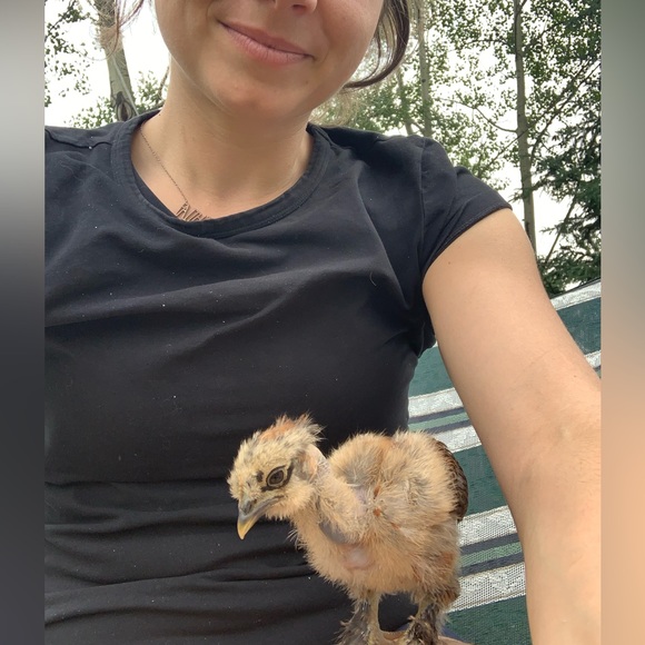 Meet your Posher, Dana - Picture 7 of 8